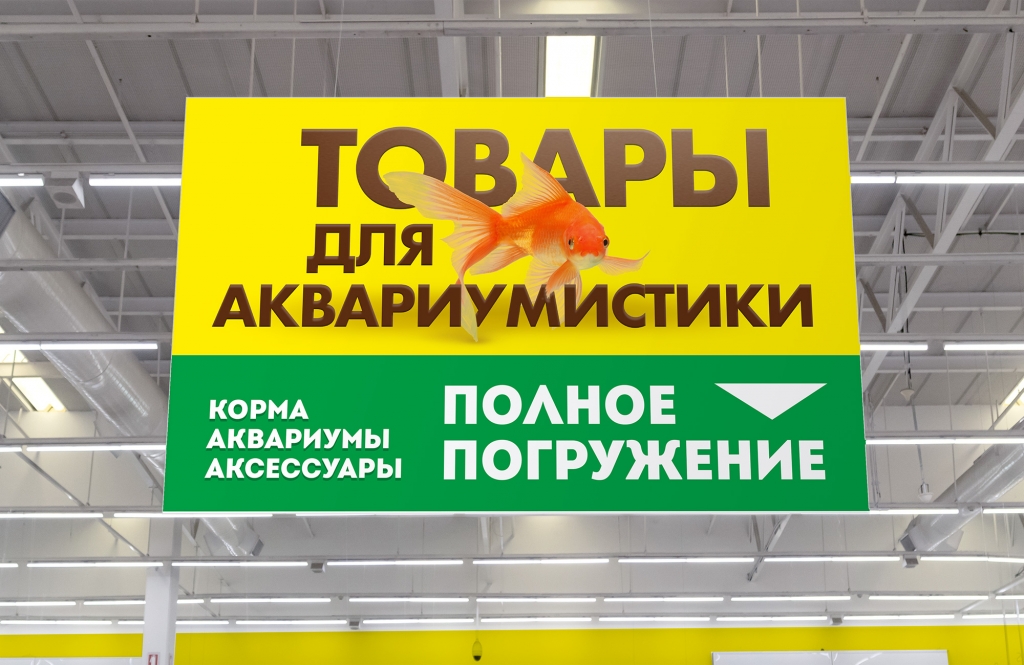 Zoolandia_dizajn-firmennyh-elementov-i-brendbuka-dlya-magazina.jpg